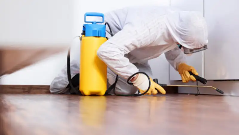 Смерть после травли клопов в Мангистау: Назначено судебное заседание