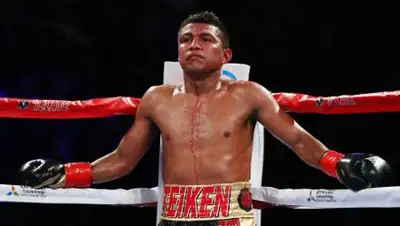 Allboxing, фото - Новости Zakon.kz от 20.04.2018 21:12