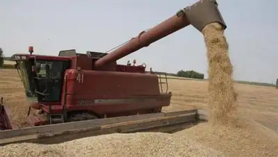 Zakon.kz, фото - Новости Zakon.kz от 28.10.2014 18:51