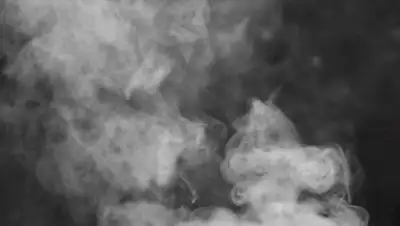 avatan plus, фото - Новости Zakon.kz от 26.08.2020 17:30