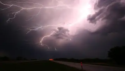 Pixabay, фото - Новости Zakon.kz от 20.06.2020 15:38