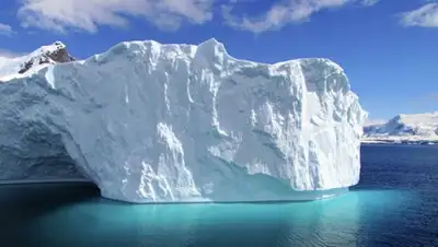 © AFP 2018 / Sarah Dawalibi, фото - Новости Zakon.kz от 08.02.2018 16:29