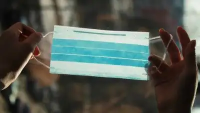 Pixabay, фото - Новости Zakon.kz от 11.12.2020 11:48