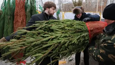 Zakon.kz, фото - Новости Zakon.kz от 01.01.2015 20:56