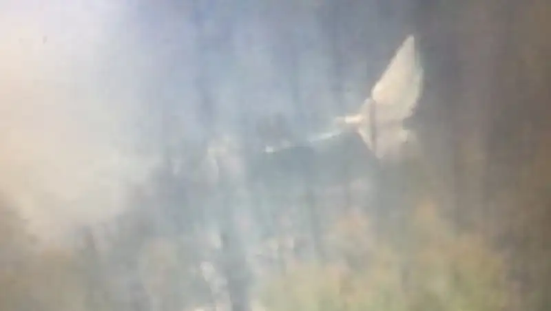 Названа главная версия крушения Ил-76 в Иркутской области