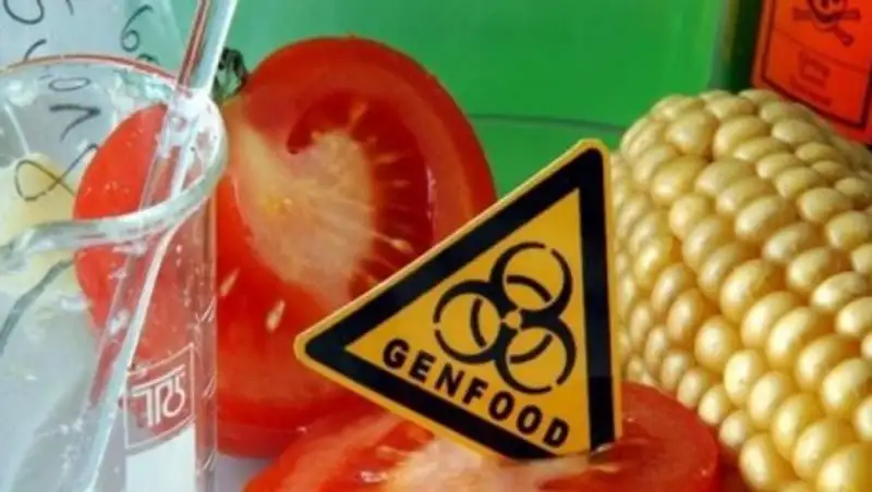 На продуктах с ГМО будут ставить маркировку