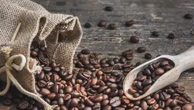 © Fotolia / kaycco, фото - Новости Zakon.kz от 07.11.2018 22:55