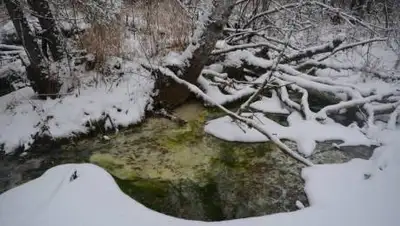 novayagazeta, фото - Новости Zakon.kz от 10.02.2021 18:09