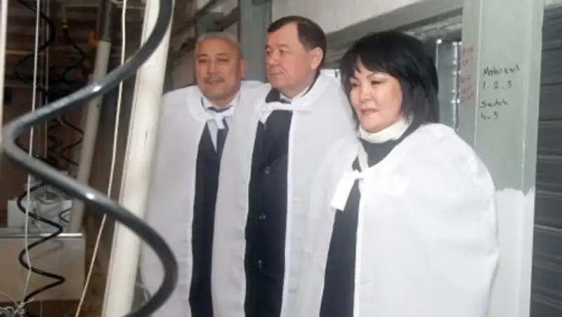 В Жамбылской области запущена новая современная птицефабрика