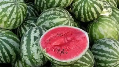 Zakon.kz, фото - Новости Zakon.kz от 04.07.2014 18:59