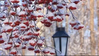 Zakon.kz, фото - Новости Zakon.kz от 18.11.2014 19:57