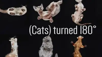 Zakon.kz, фото - Новости Zakon.kz от 28.01.2016 22:29