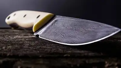 pixabay.com, фото - Новости Zakon.kz от 09.07.2021 16:30