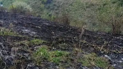 Пресс-служба ДЧС Алматы, фото - Новости Zakon.kz от 25.04.2020 18:00