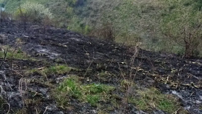 Больше часа огнеборцы тушили пожар на склоне горы в Алматы