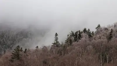 Туман , фото - Новости Zakon.kz от 14.03.2022 18:12