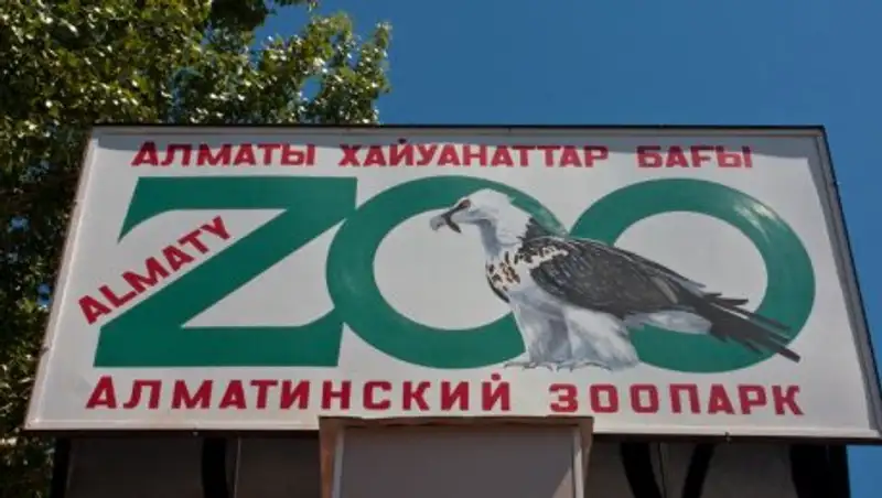 Как будут защищать обитателей алматинского зоопарка от опасных посетителей