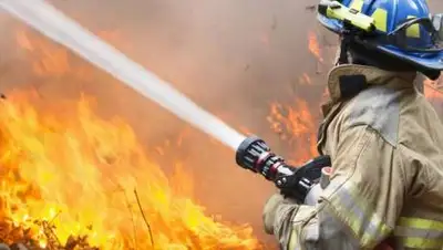 kursiv.kz, фото - Новости Zakon.kz от 14.02.2021 10:20