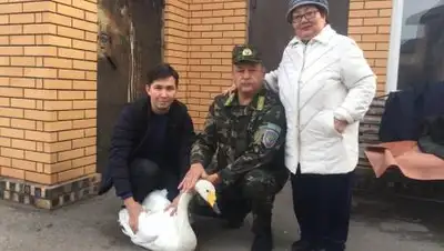 Павлодарское учреждение по охране лесов и животного мира., фото - Новости Zakon.kz от 07.10.2021 20:07