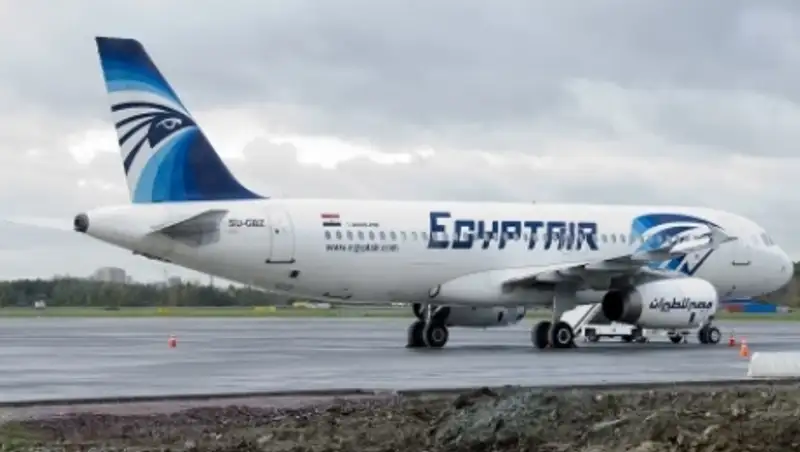 В Сети появилось предполагаемое видео падения египетского А320