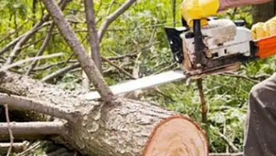 Zakon.kz, фото - Новости Zakon.kz от 26.09.2016 17:21