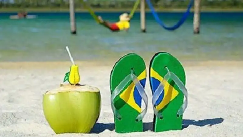 Власти Бразилии подсчитали расходы туристов на грядущий ЧМ по футболу