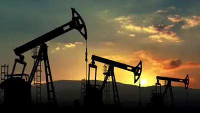 ukranews.com, фото - Новости Zakon.kz от 22.10.2019 12:33