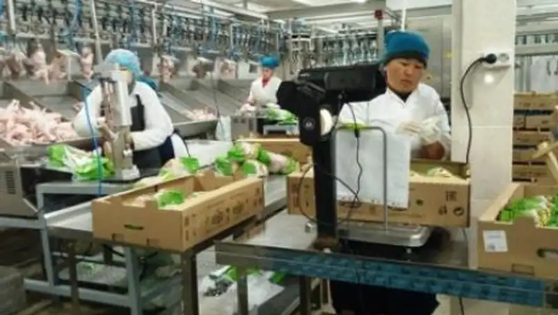 Российские конкуренты больше не мешают Кызылжарской птицефабрике