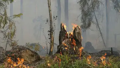 пожары, фото - Новости Zakon.kz от 21.09.2022 12:20