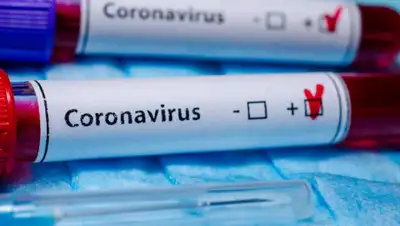 zakon.kz., фото - Новости Zakon.kz от 14.07.2020 07:17