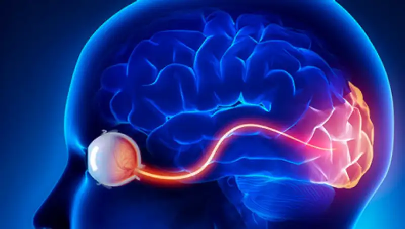 Чем опасна атрофия зрительного нерва