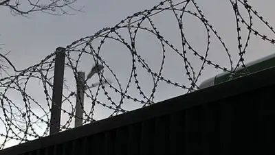 Zakon.kz, фото - Новости Zakon.kz от 11.10.2017 15:41