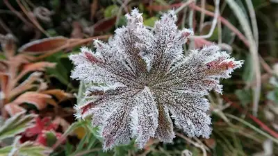 прогноз погоды, фото - Новости Zakon.kz от 30.09.2023 21:34