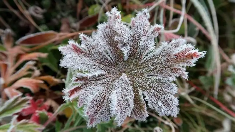 В семи областях Казахстана объявлено штормовое предупреждение