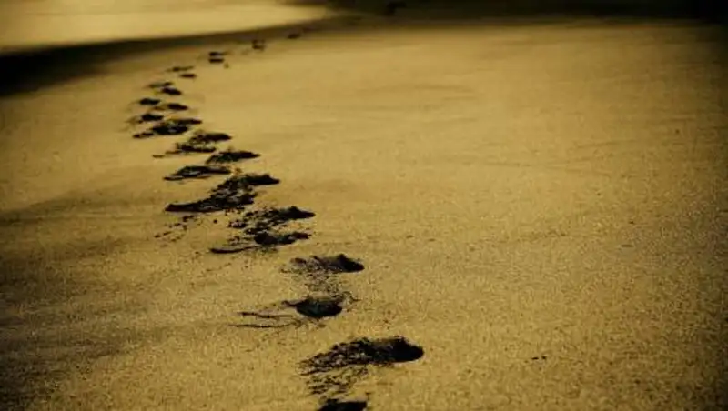 Мальчик утонул на центральном пляже в Павлодаре: тело найдено на четвертые сутки