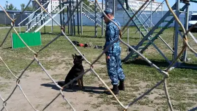 Zakon.kz, фото - Новости Zakon.kz от 14.07.2015 21:19