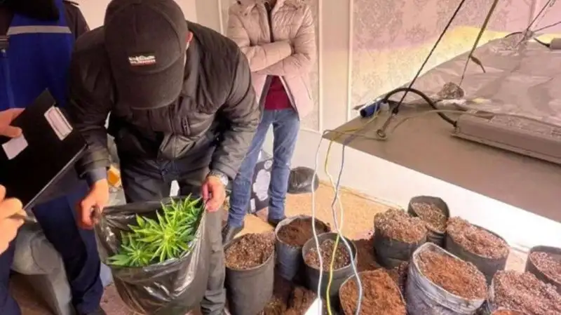 В Мангистау двух мужчин подозревают в обустройстве дома наркоогорода