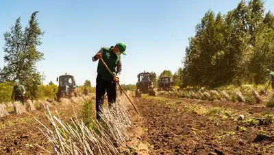 программа по отработке сельской молодежи, фото - Новости Zakon.kz от 12.01.2022 10:27