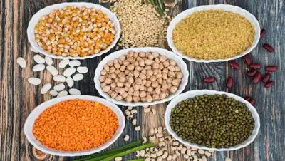 pixabay.com, фото - Новости Zakon.kz от 07.02.2021 21:42