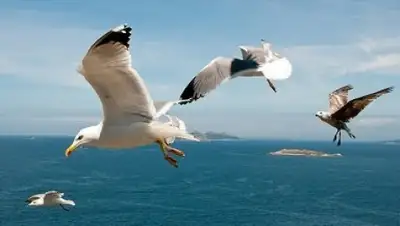 Zakon.kz, фото - Новости Zakon.kz от 23.05.2015 05:14