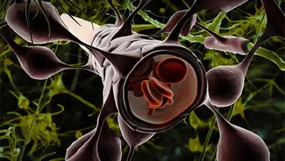 Zakon.kz, фото - Новости Zakon.kz от 10.11.2015 22:24