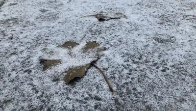 Zakon.kz, фото - Новости Zakon.kz от 21.11.2019 09:03