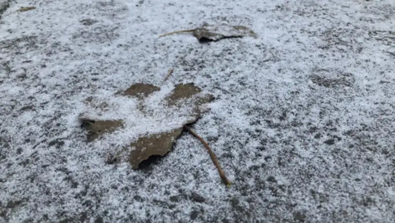 Сильный ветер, туман, гололед - погода на 21 ноября