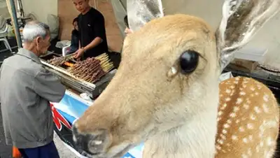 AP, фото - Новости Zakon.kz от 27.03.2018 09:27