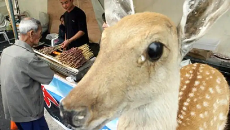 В Китае запретили писать по-арабски на халяльных продуктах