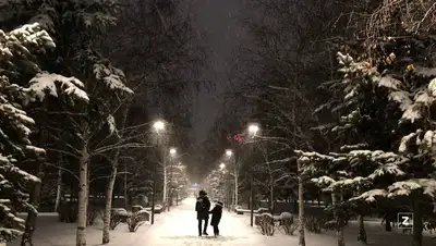 осадки, прогноз, фото - Новости Zakon.kz от 29.11.2021 16:56