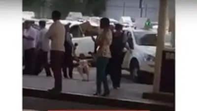 Zakon.kz, фото - Новости Zakon.kz от 11.05.2017 16:33