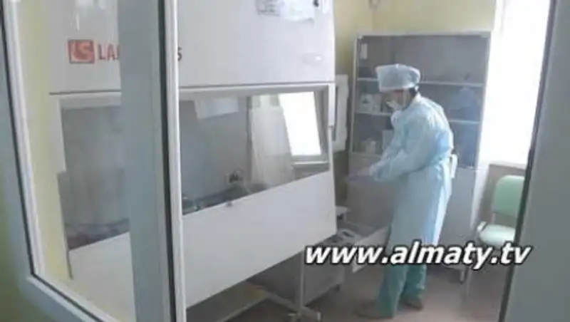 В Алматы заработала лаборатория, выявляющая ДНК свинины в мясе