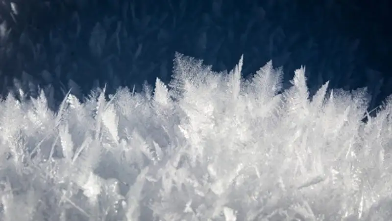 Прогноз погоды 21 декабря