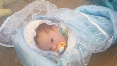 Zakon.kz, фото - Новости Zakon.kz от 05.07.2017 15:29